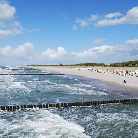 Ferienwohnung Ribnitz-Damgarten Apartamento